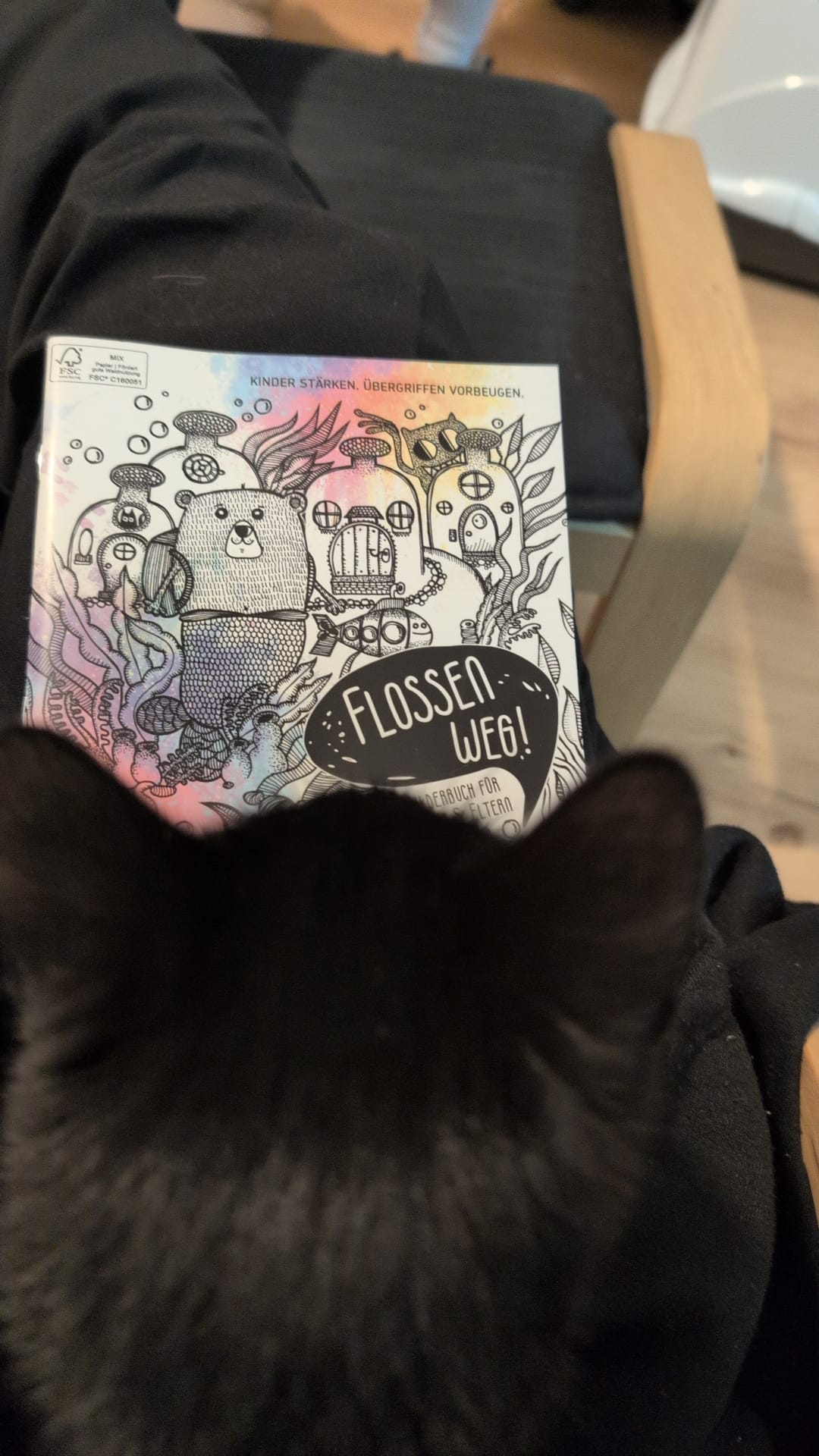 FLINS AWAY! 5x booklet version | ISBN 9783950499193 (2nd edition) | free shipping in Germany & Austria