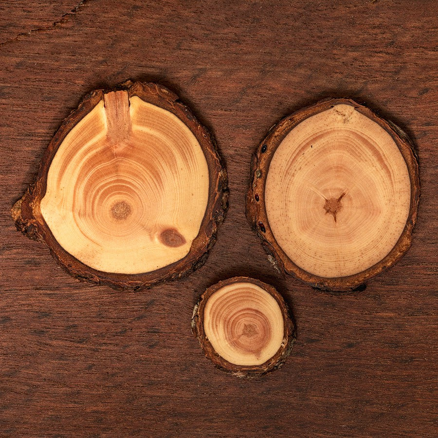 Zirbenholzschmuck Ø2-3cm | verschiedene Motive | aus Tirol in Österreich