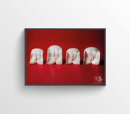Vulva poster double pack from Himal Hemp and Vulvarium